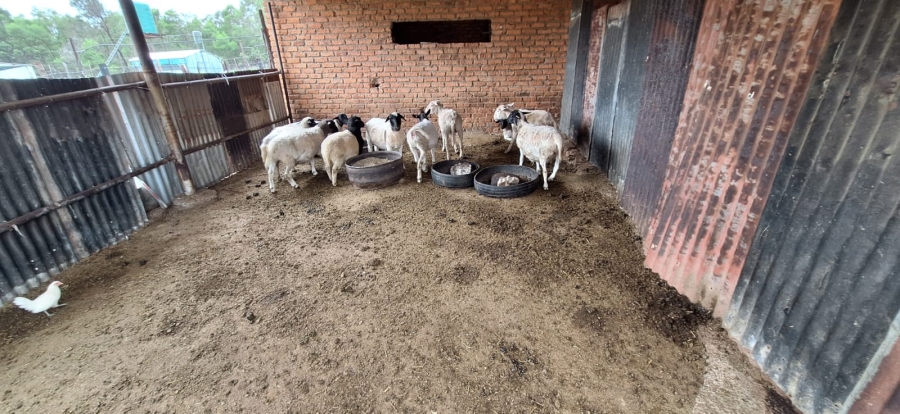 7 Bedroom Property for Sale in Swartruggens North West